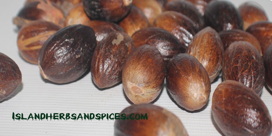 Jamaican Nutmeg Spice | Island Herbs & Spices