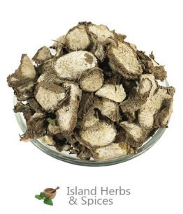 Duppy Gun – Ruellia Tuberosa | Island Herbs & Spices